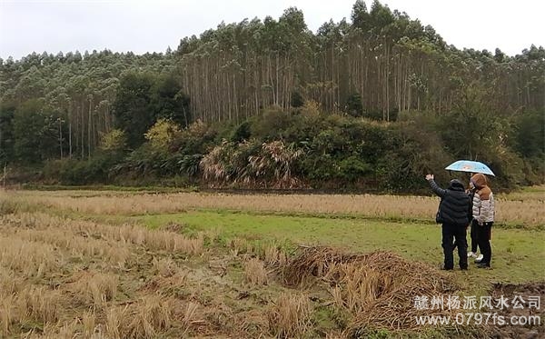 广州市陈老师带着爱徒寻龙点穴